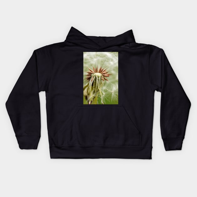 Dandelion macro photography Kids Hoodie by glovegoals